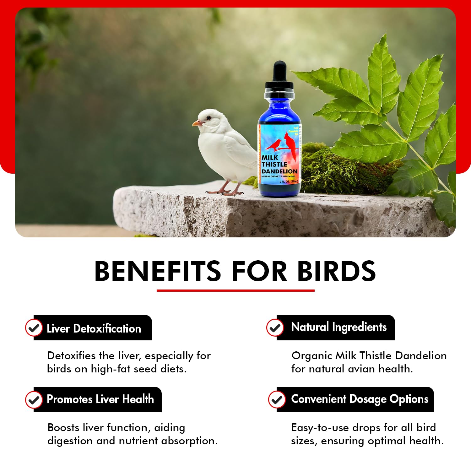 Morning Bird Milk Thistle & Dandelion Extract - Organic Bird Supplement for Optimal Health - Support Liver Heath & Promotes Deto
